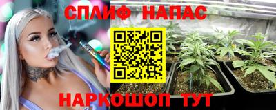PSILOCYBIN Пугачёв