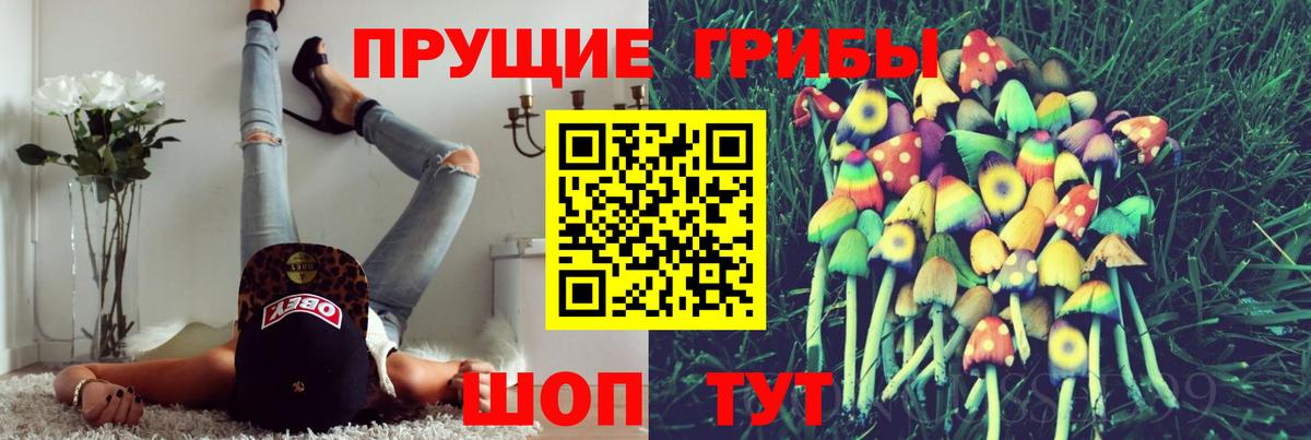 Галлюциногенные грибы мицелий Петрозаводск